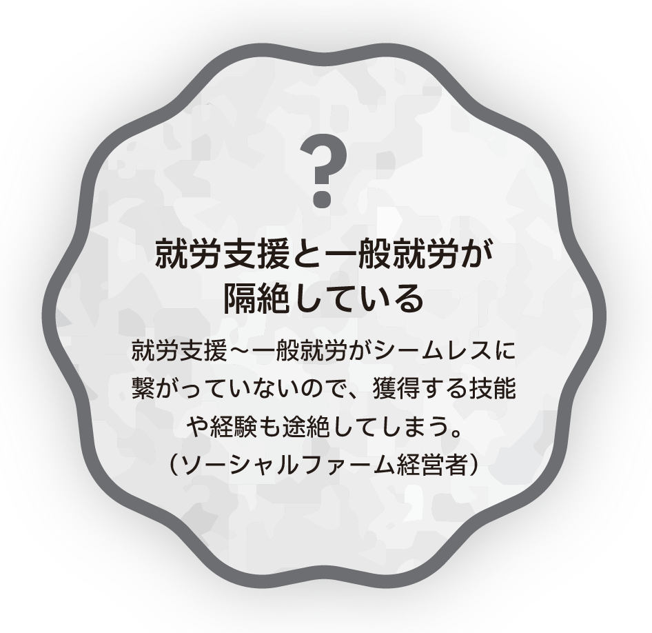就労支援と一般就労が隔絶している　就労支援〜一般就労がシームレスに繋がっていないので、獲得する技能や経験も途絶してしまう。（ソーシャルファーム経営者）