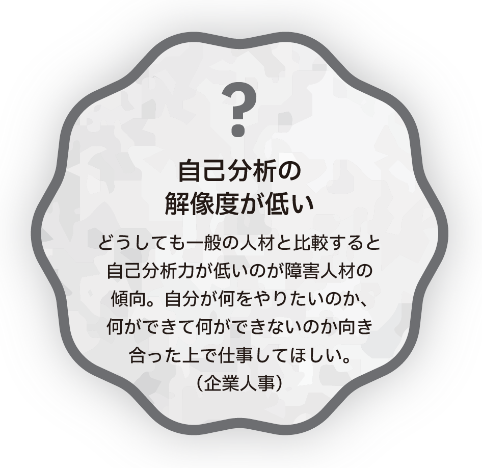 自己分析の解像度が低い　どうしても一般の人材と比較すると自己分析力が低いのが障害人材の傾向。自分が何をやりたいのか、何ができて何ができないのか向き合った上で仕事してほしい。（企業人事）